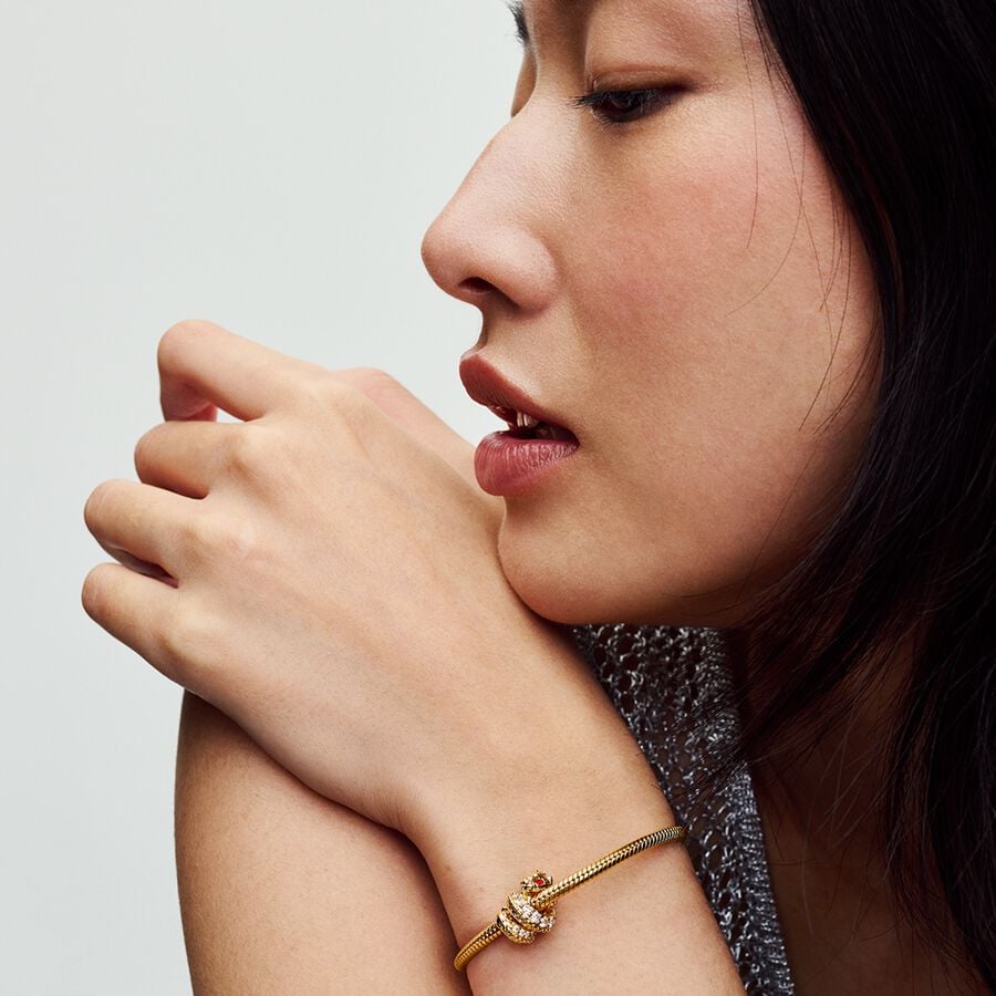 Charm Ano Chinês do Encanto do Dragão