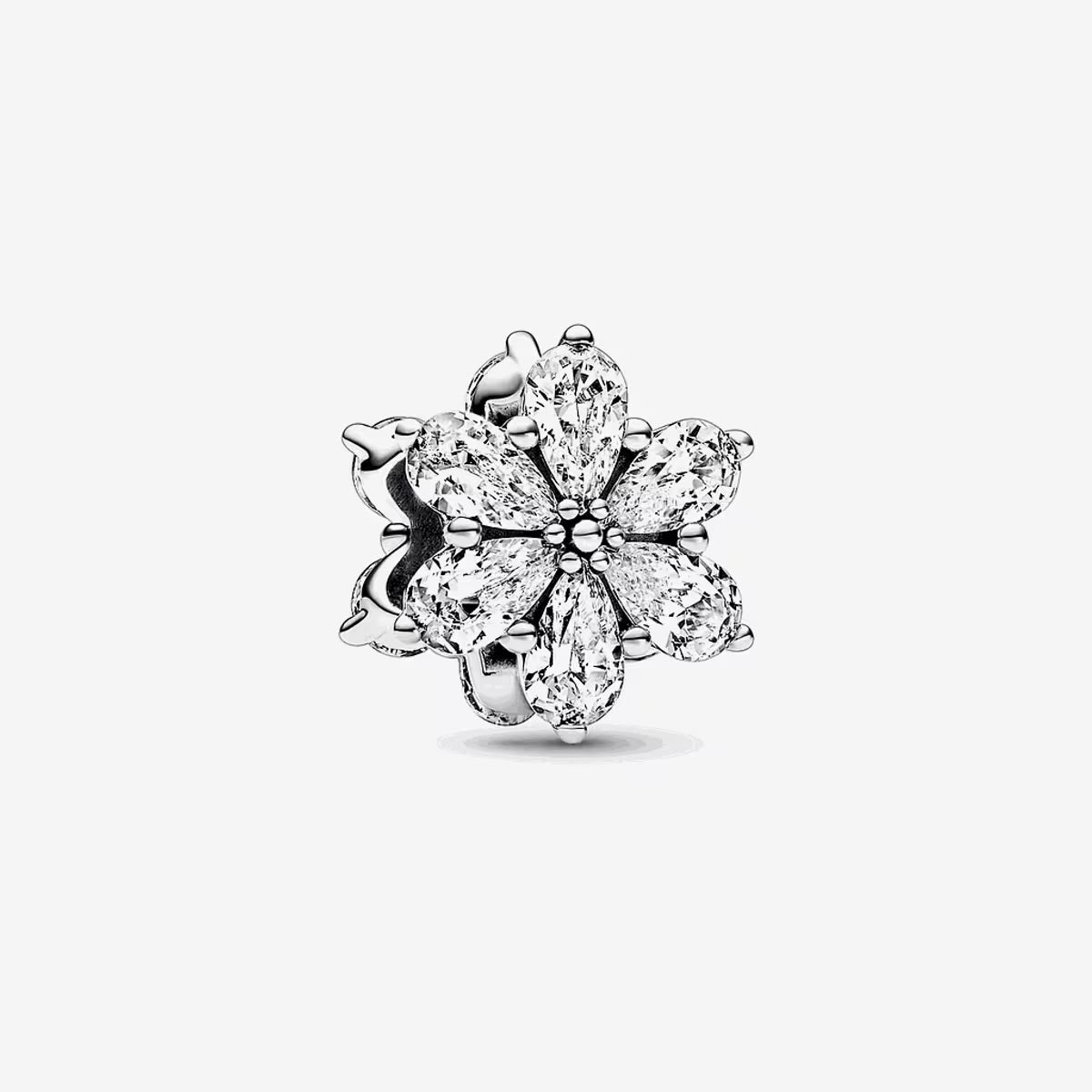 Charm Flor Herbario