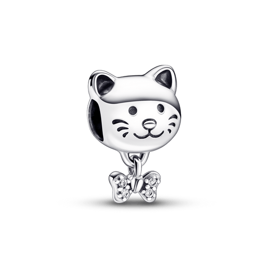 Charm Gato de Estimação e Lacinho